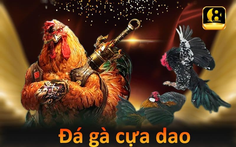 Những Sai Lầm Phổ Biến Khi Chơi Đá Gà Cựa Dao Và Cách Tránh 1 Đá gà cựa dao